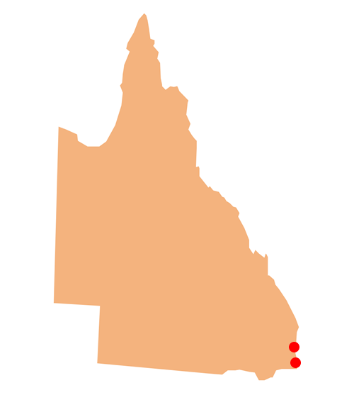 QLD